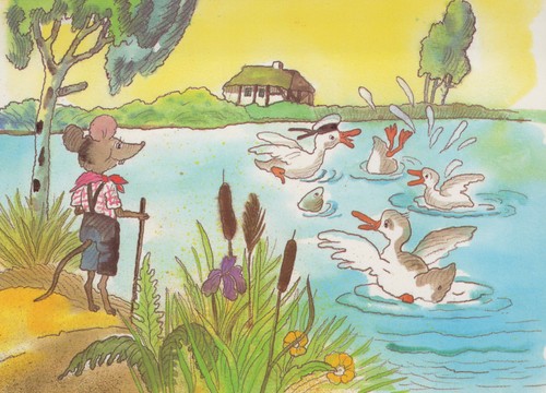 Ddr postkarte maus teich - postkarte, am